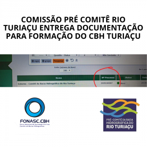 COMISSÃO PRÉ COMITÊ RIO TURIAÇU ENTREGA DOCUMENTAÇÃO PARA FORMAÇÃO DO CBH TURIAÇU