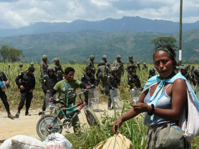 guatemala grilagem