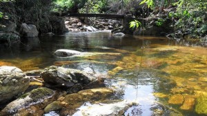 ENTIDADES LIGADAS AO FONASC PARTICIPA DA RIO MAIS 20